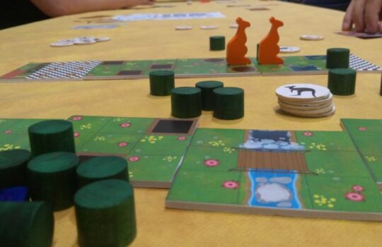 Tanuki Boardgames vi aspetta a Ludo in Fiera con Kangarun e tante novità!